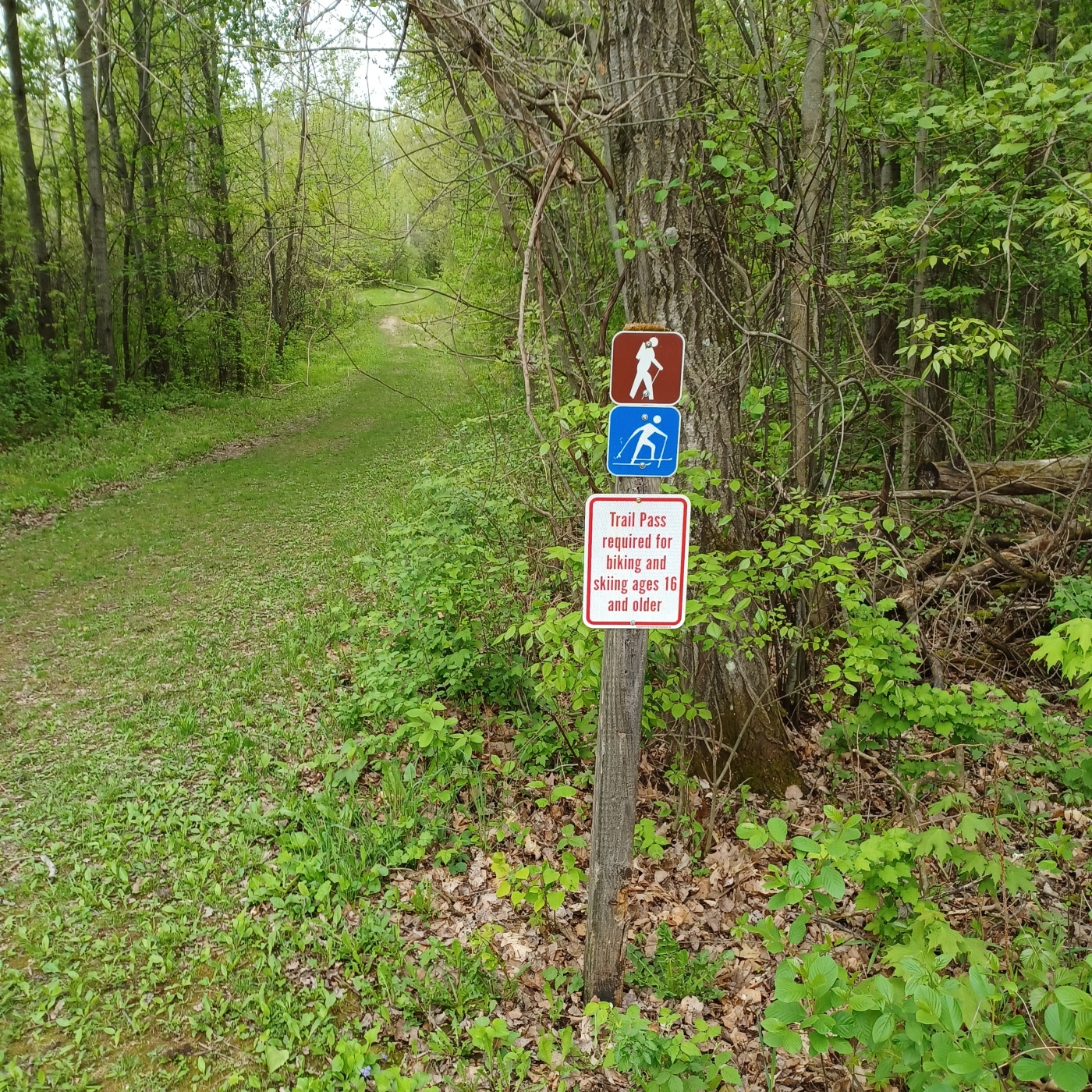 jon-j-miller-greenbush-hiking-trails-2