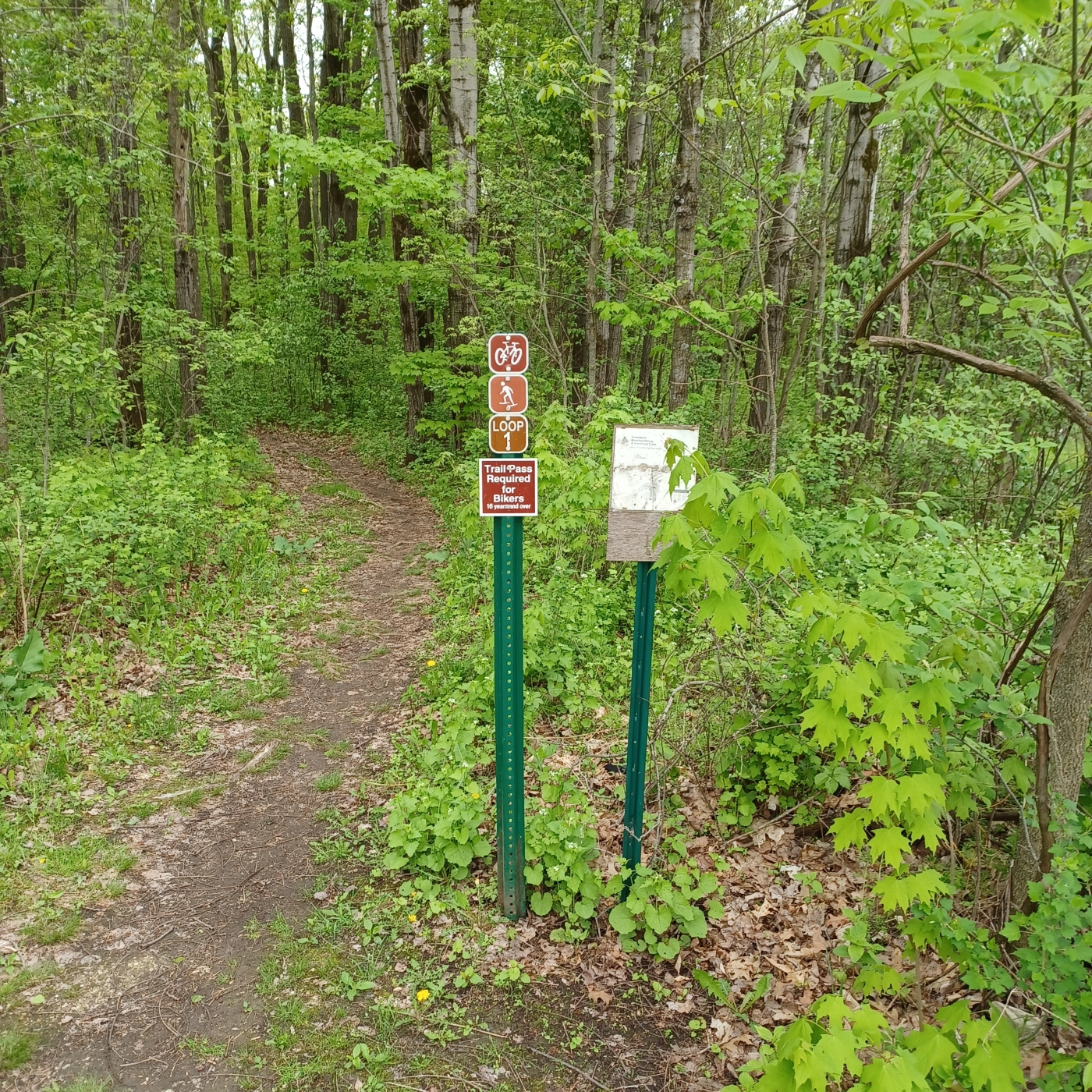 jon-j-miller-greenbush-trails-1